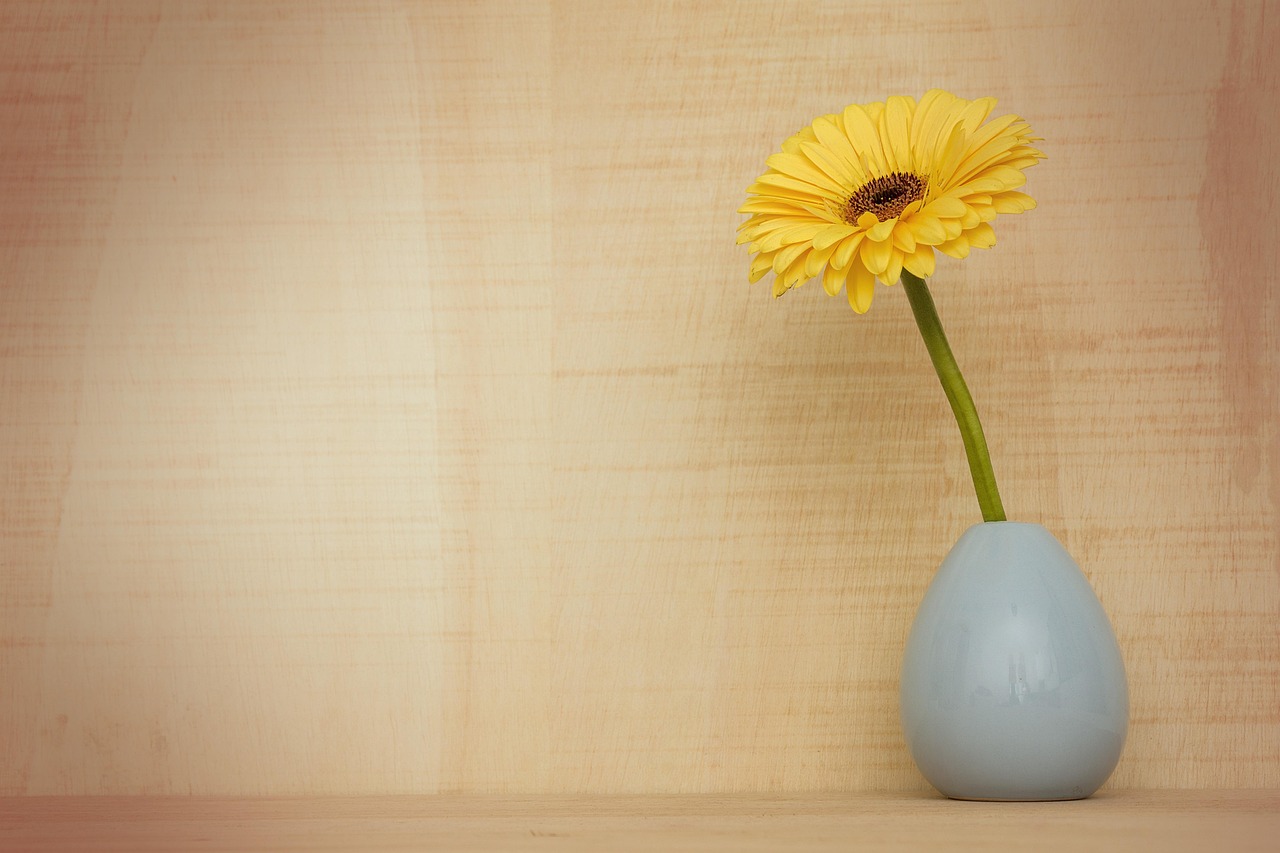 Creatieve fotowand ideeën met lente themazweem.